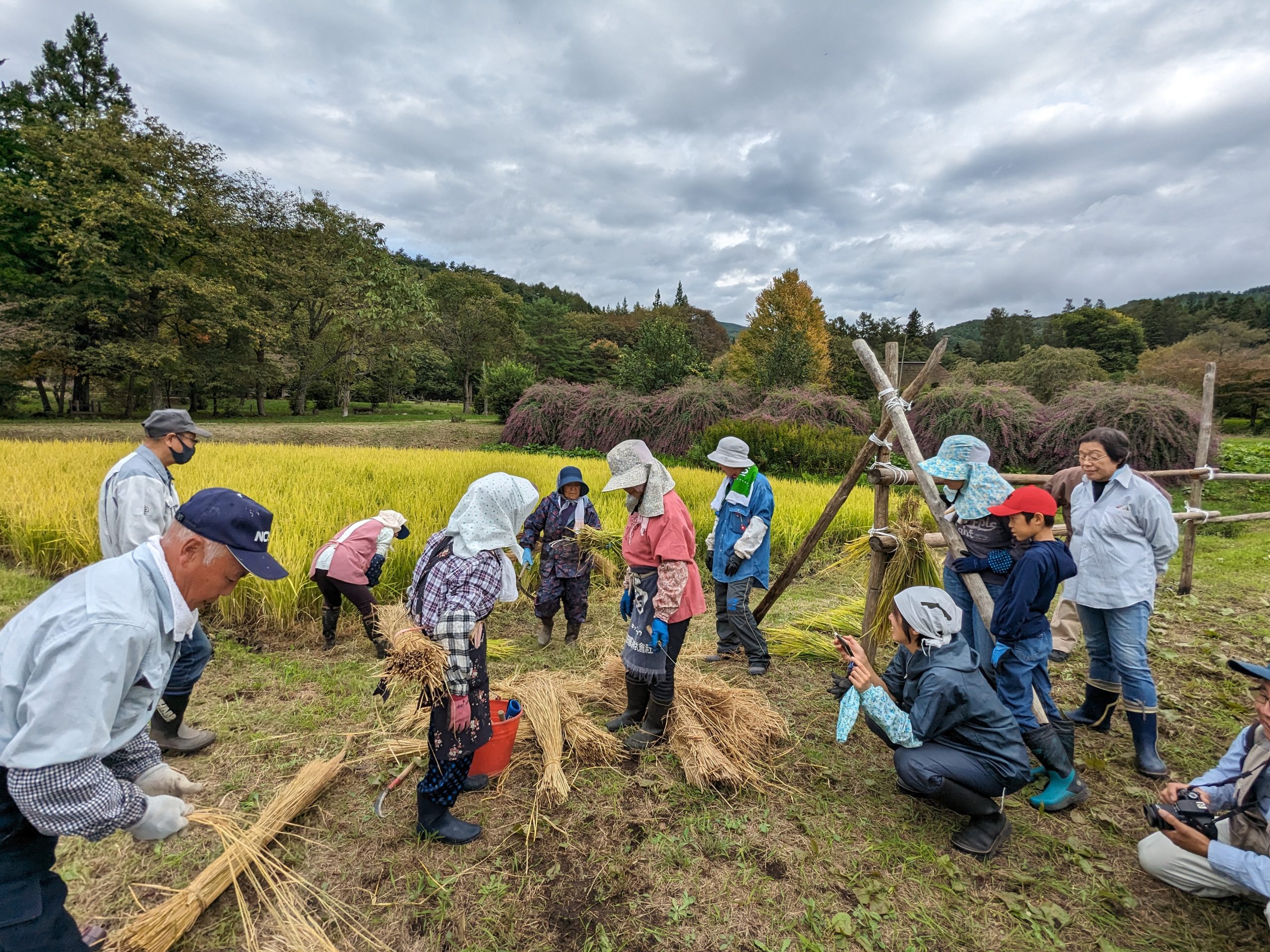 10/5（土）昔ながらの稲刈り会